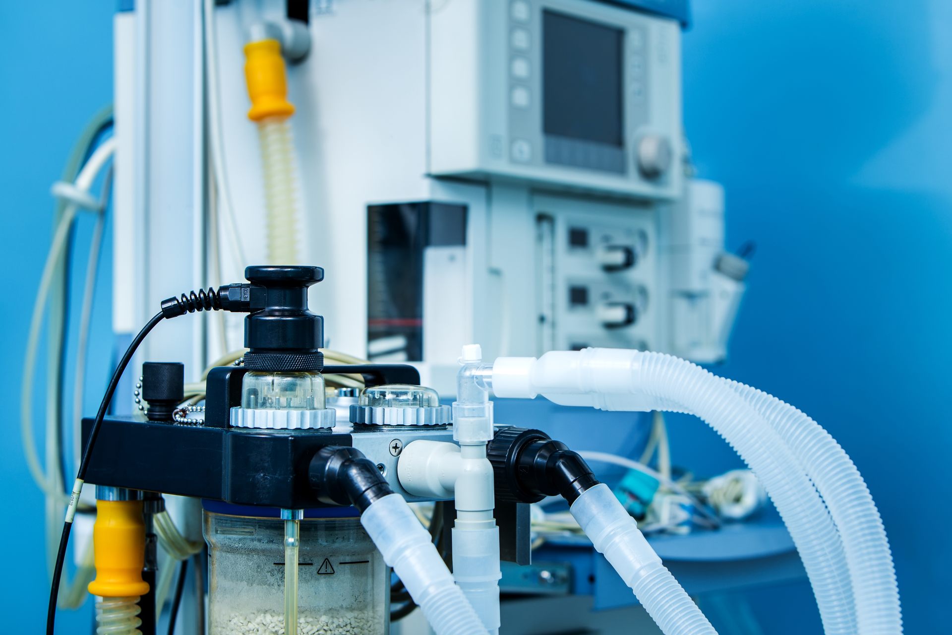 Janos Szekely 5e84eb4abeb50