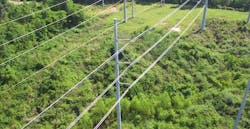 Screen Shot 2020 04 27 At 10 47 49 Pm 5ea7a5ee4dcd5 Screen Shot 2020 04 27 At 10 47 49 Pm 5ea7a5ee4dcd5