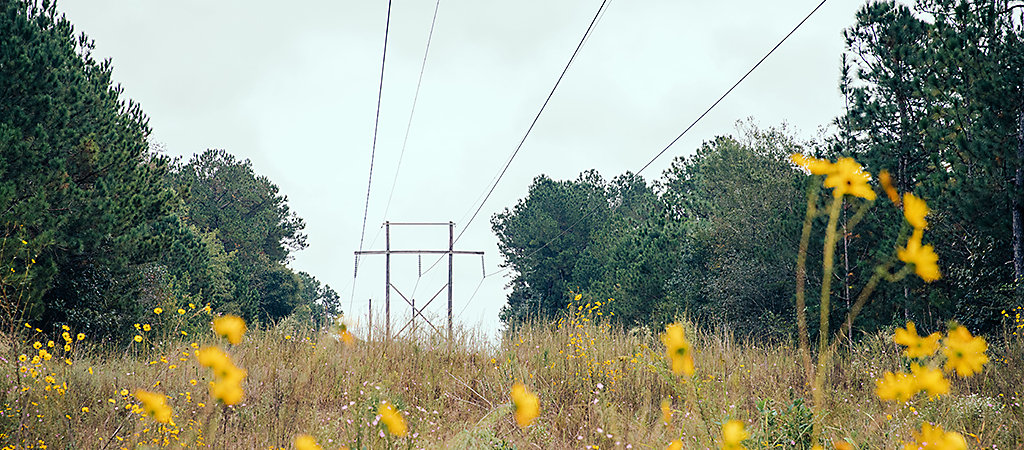 Georgiapower 5e974f2c5e669