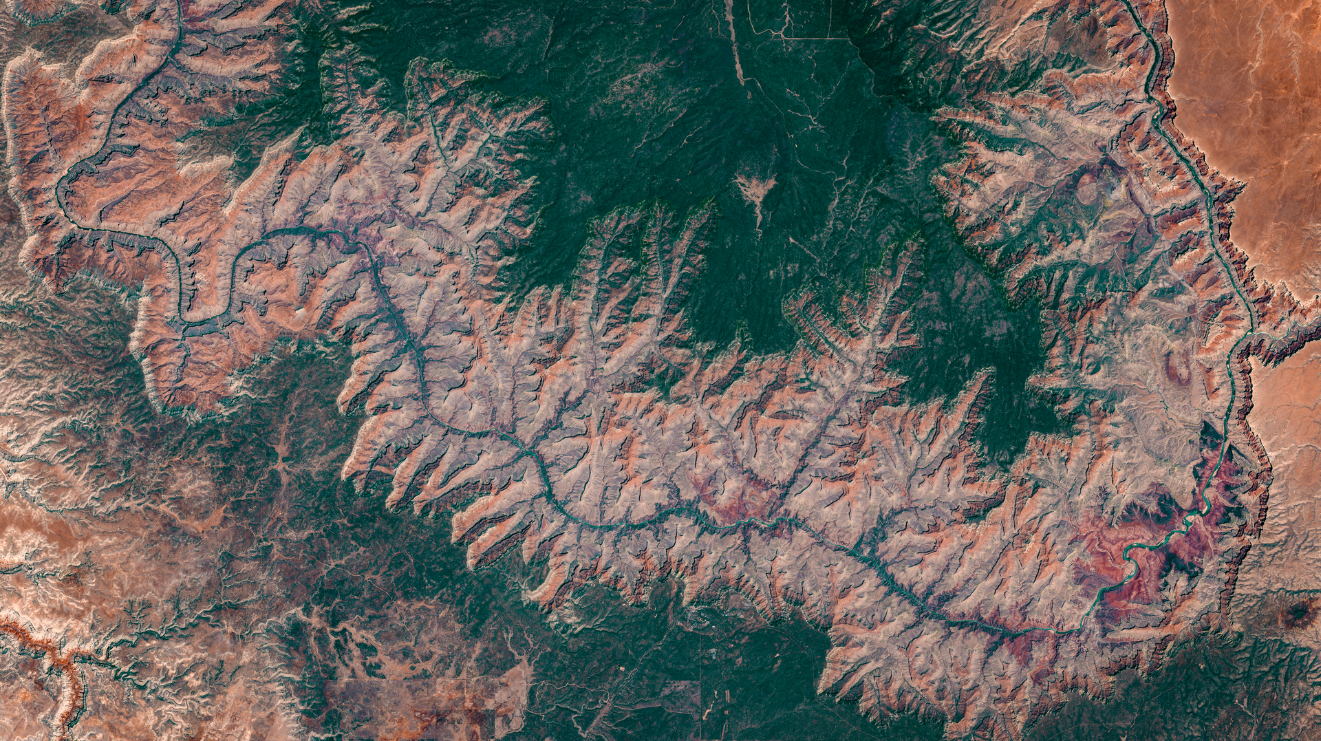 Dreamstime M 155237833 5ebe6de96124f