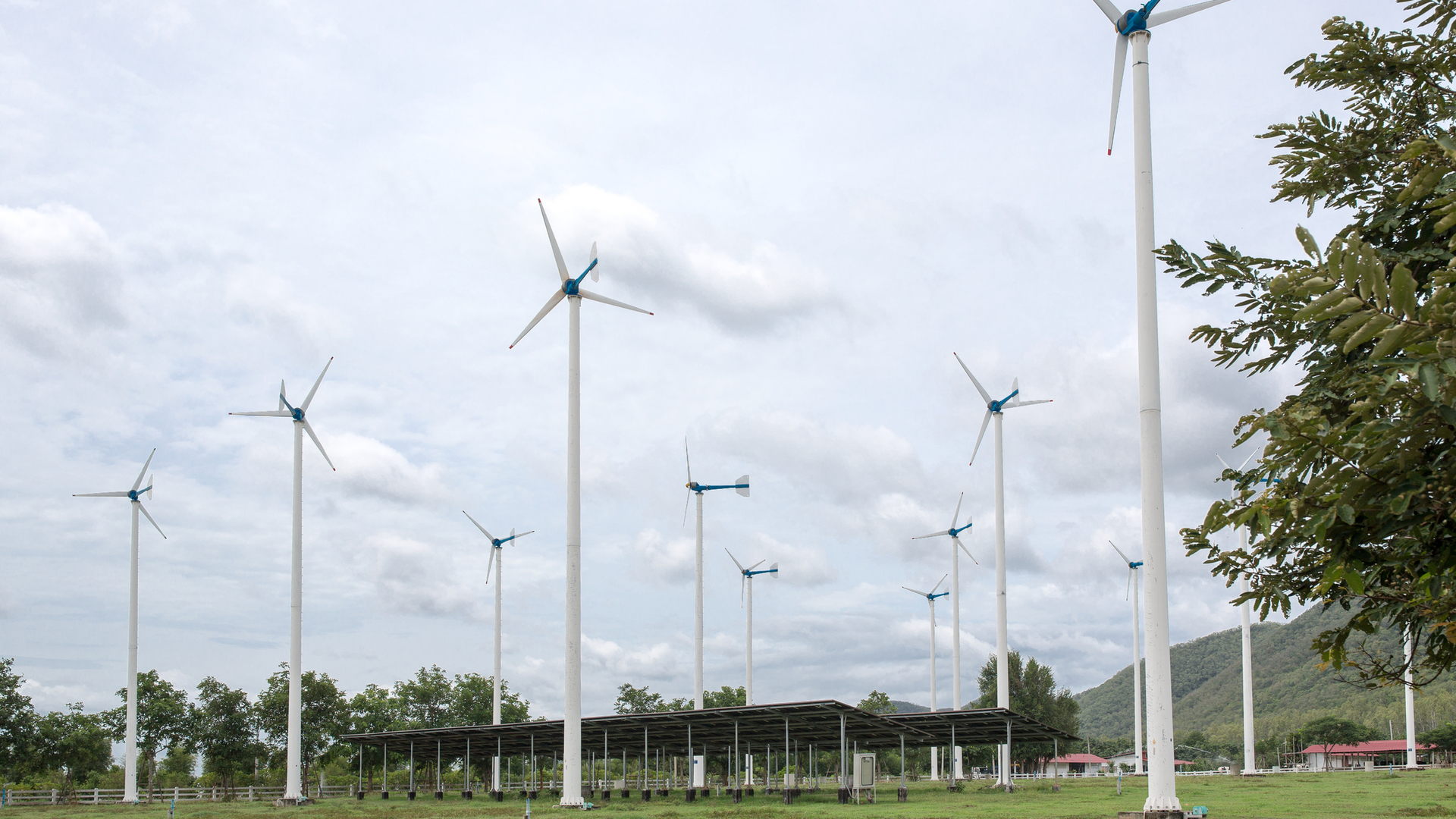 Dreamstime M 98018548 5ec637a31d865