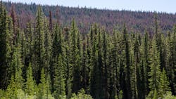 Featured Image 18 5eb2875117d97 Featured Image 18 5eb2875117d97