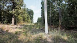 Article 1 Feature Image 5ebd9f5357f13 Article 1 Feature Image 5ebd9f5357f13