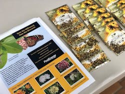 Fe Pollinator 1 Fe Pollinator 1