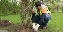 Screen Shot 2020 05 25 At 4 14 53 Pm 5ecc34922e56b Screen Shot 2020 05 25 At 4 14 53 Pm 5ecc34922e56b