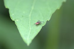 Tick 5eb8a99734dd0 Tick 5eb8a99734dd0