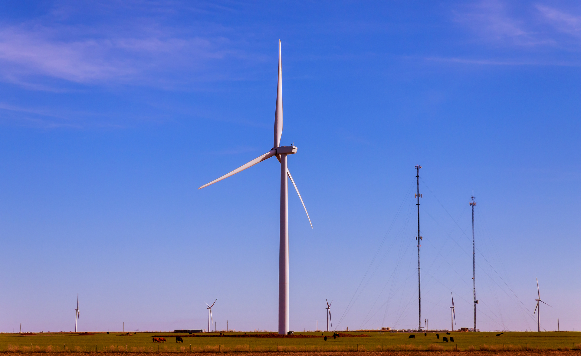 Dreamstime L 140849346 5ebe19275dbfe