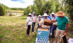 Sas Bee Hives 5ecc30dc10297 Sas Bee Hives 5ecc30dc10297