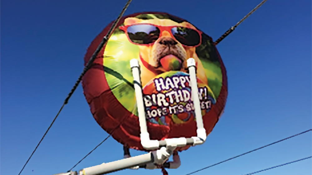 SDG&E tests a prototype nonconductive foil balloon in energized 12 kV overhead lines, with no fault.
