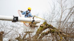 A utility worker trims a tree as a precautionary measure against wildfires