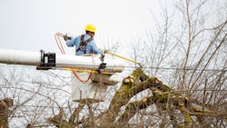 A utility worker trims a tree as a precautionary measure against wildfires A utility worker trims a tree as a precautionary measure against wildfires