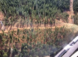 2006 Tdw 33 Figure4 2006 Tdw 33 Figure4