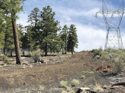 A low-tech dozer performs bare ground treatment for wildfire breaks to protect energized assets including steel lattice structures and conductors. A low-tech dozer performs bare ground treatment for wildfire breaks to protect energized assets including steel lattice structures and conductors.
