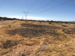 This shows the results of handcutting incompatible vegetation and reducing fuel ladders to within 12 in. of ground level. This shows the results of handcutting incompatible vegetation and reducing fuel ladders to within 12 in. of ground level.
