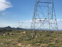 This post-IVM treatment is performed on incompatible desert vegetation and fuel ladders, leaving low-growing plant community with pollinator habitat abounding. This post-IVM treatment is performed on incompatible desert vegetation and fuel ladders, leaving low-growing plant community with pollinator habitat abounding.