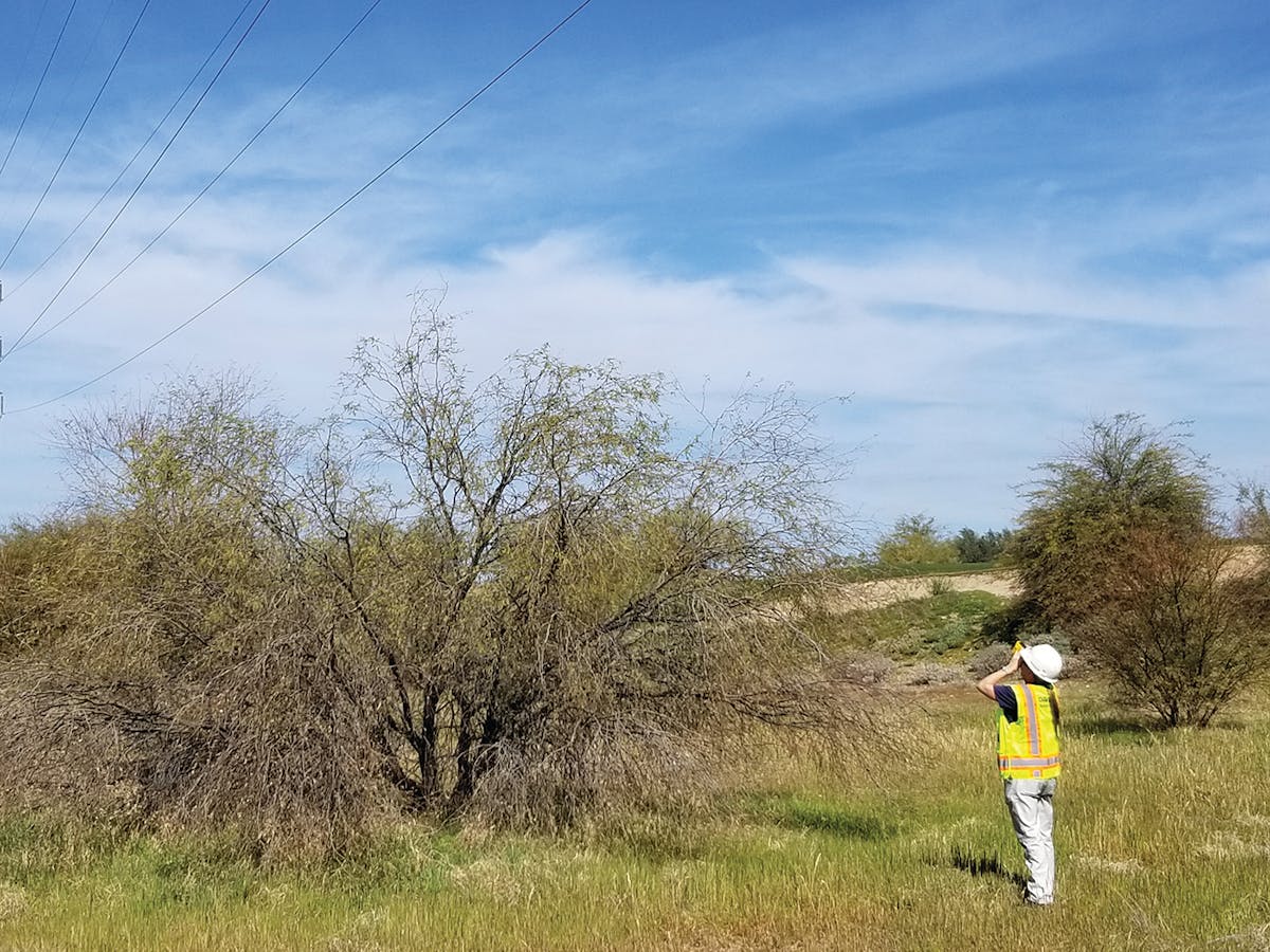 Third-party contract inspectors review vegetation within the right of way to determine vegetation-to-conductor clearance.