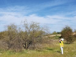 Third-party contract inspectors review vegetation within the right of way to determine vegetation-to-conductor clearance. Third-party contract inspectors review vegetation within the right of way to determine vegetation-to-conductor clearance.