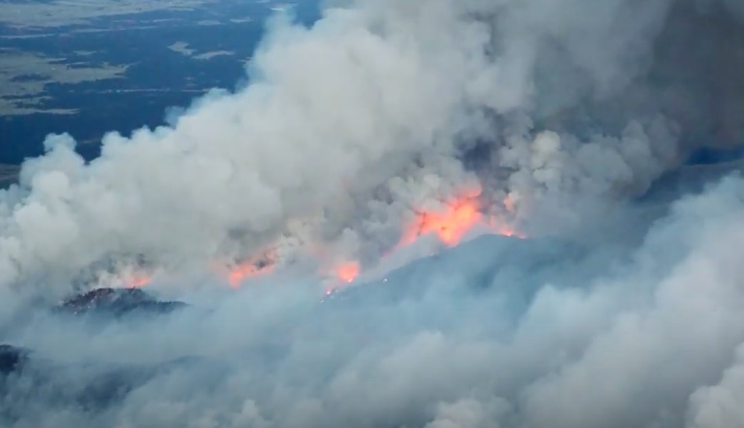 Screen Shot 2020 06 16 At 3 02 04 Pm 5ee924781d3dd