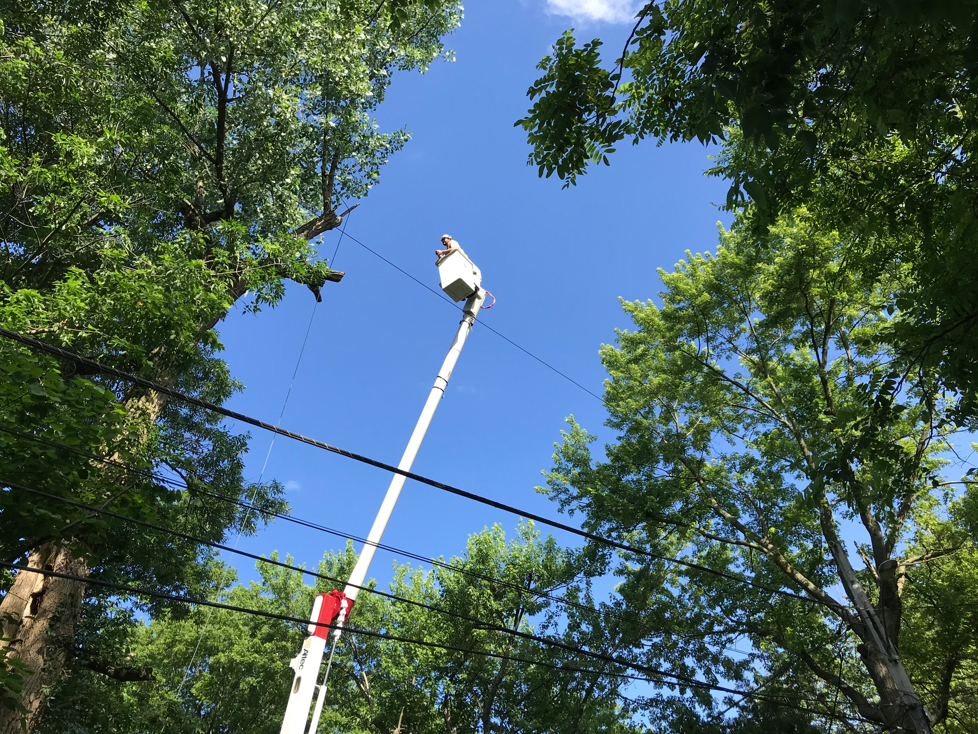 Tyler Up In The Air 5eea6b08220df