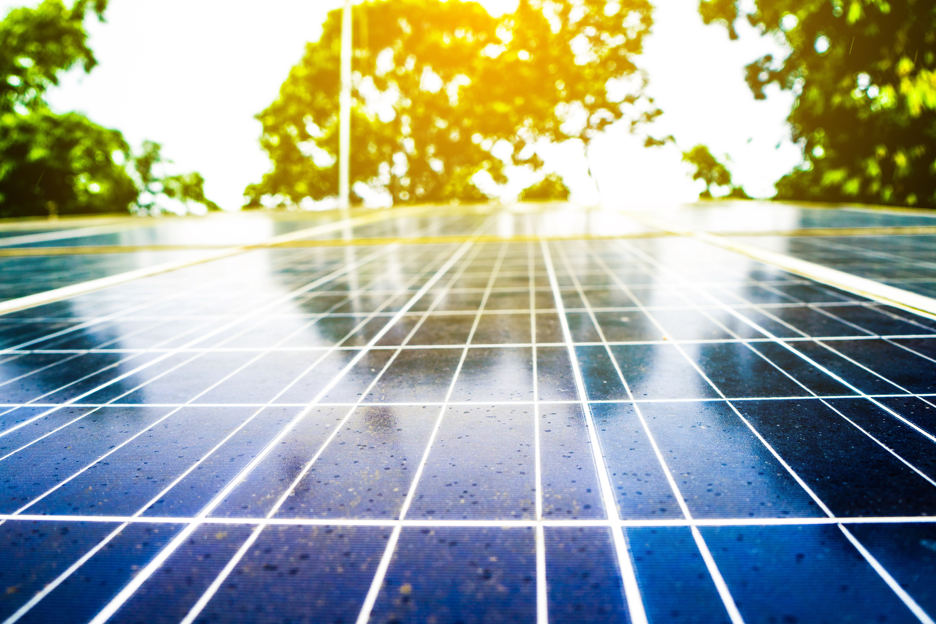 Vuttinan Puttaket Dreamstime com 5eeb855caabda