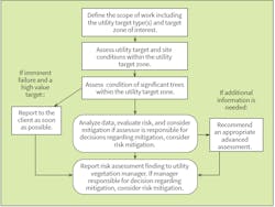 Level 1: Limited Visual Assessment process. Level 1: Limited Visual Assessment process.