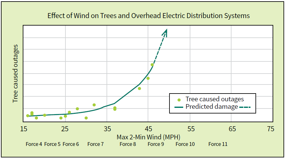 Effect of wind on trees and overhead electric distribution systems.