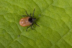 Dreamstime L 23974760 5ede87abb9cb9 Dreamstime L 23974760 5ede87abb9cb9