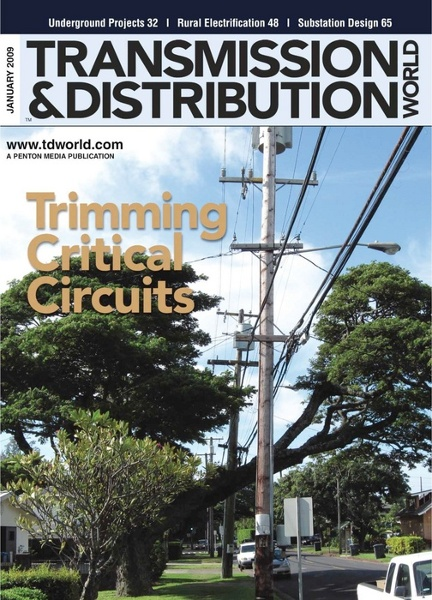 January 2009 cover image