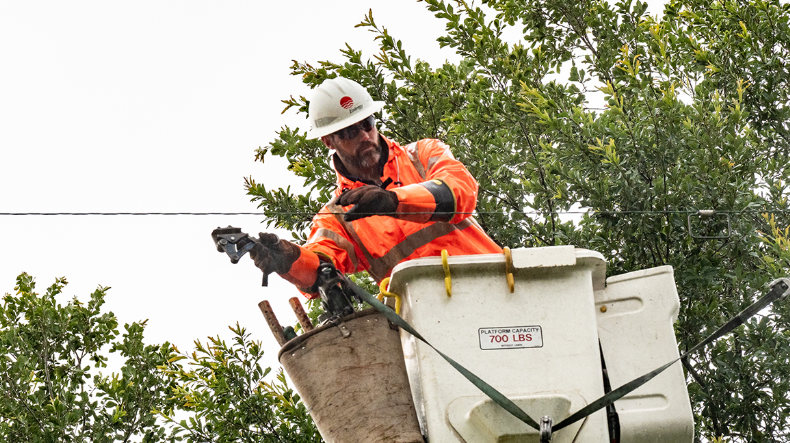 Capture 5efc59a8c4b8f