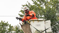 Capture 5efc59a8c4b8f Capture 5efc59a8c4b8f