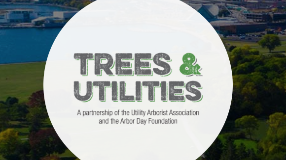 Screen Shot 2020 07 12 At 3 38 52 Pm 5f0b7364da78c