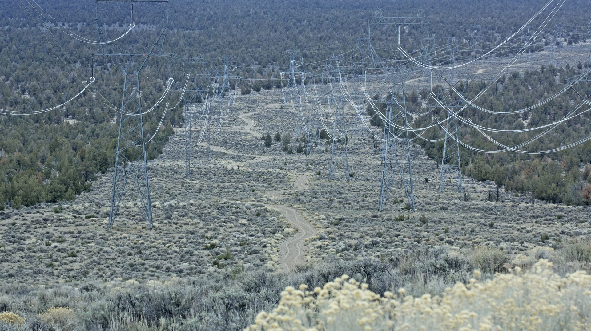 Dreamstime M 35704977 5f212e17eb57c