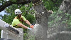 Dreamstime Xl 73929019 5f1f3025ef9f9 Dreamstime Xl 73929019 5f1f3025ef9f9