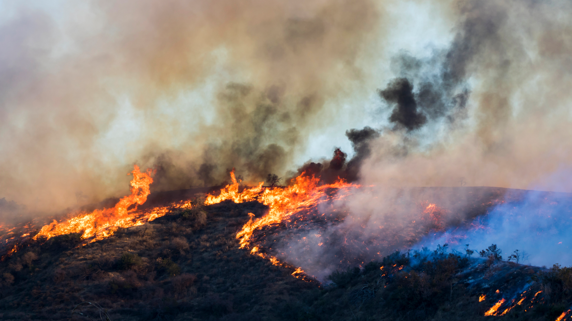 Wildfire California Getty 5f05954dca882