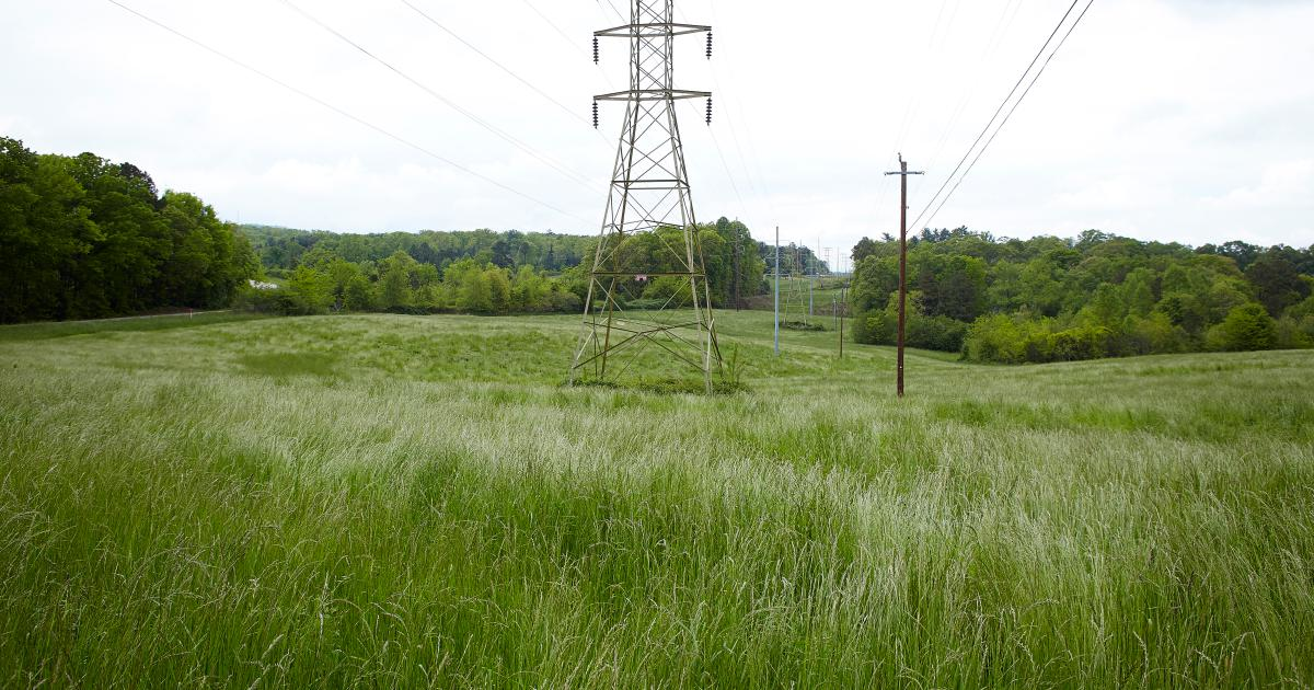 Img Right Of Way 6 Beauty Social 1 91 1 5f15f88b61544