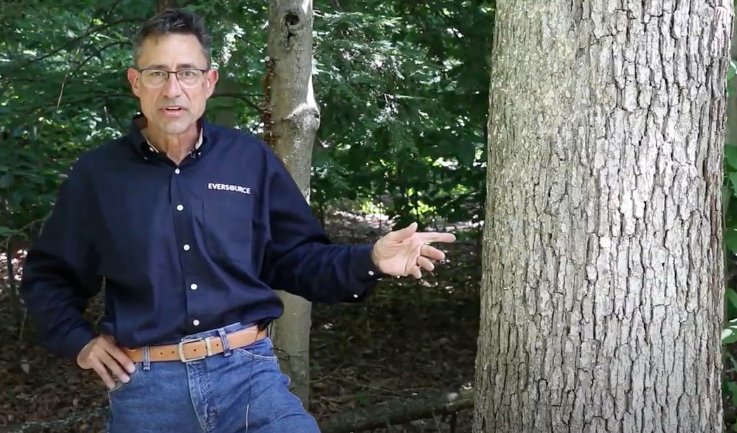 Screen Shot 2020 07 27 At 3 08 12 Pm 5f1f3274d0313