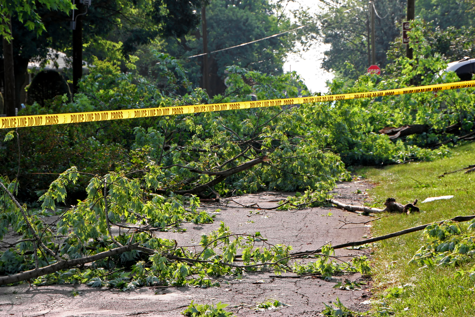 Dreamstime Xl 20467215 5f11279179296