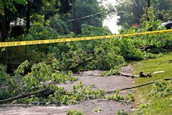 Dreamstime Xl 20467215 5f11279179296 Dreamstime Xl 20467215 5f11279179296