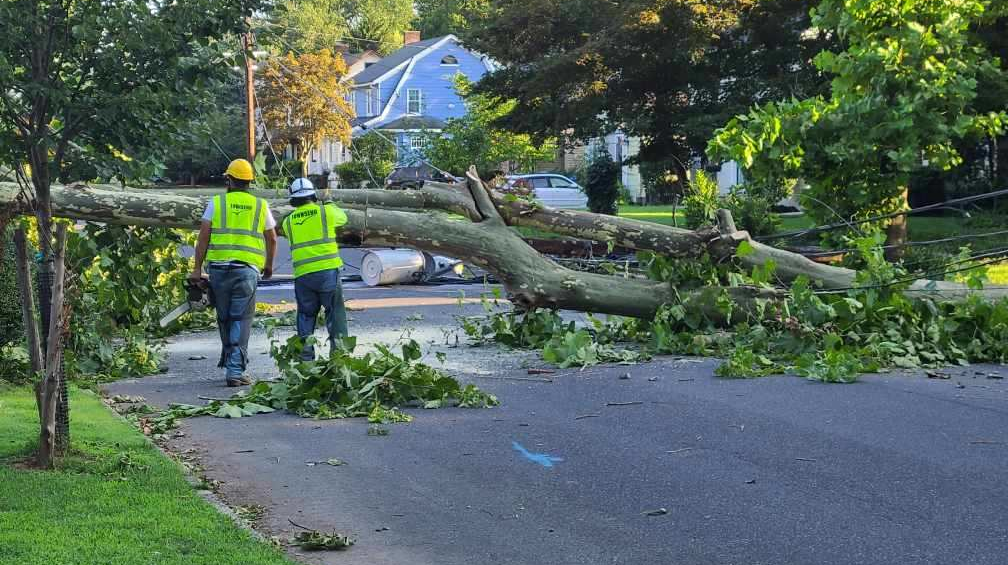 PSE&G to Reimburse Customers for Food, Medicines Spoiled During Isaias