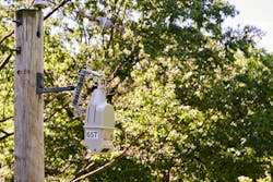 50263074986 C5c09e7feb 6k 50263074986 C5c09e7feb 6k