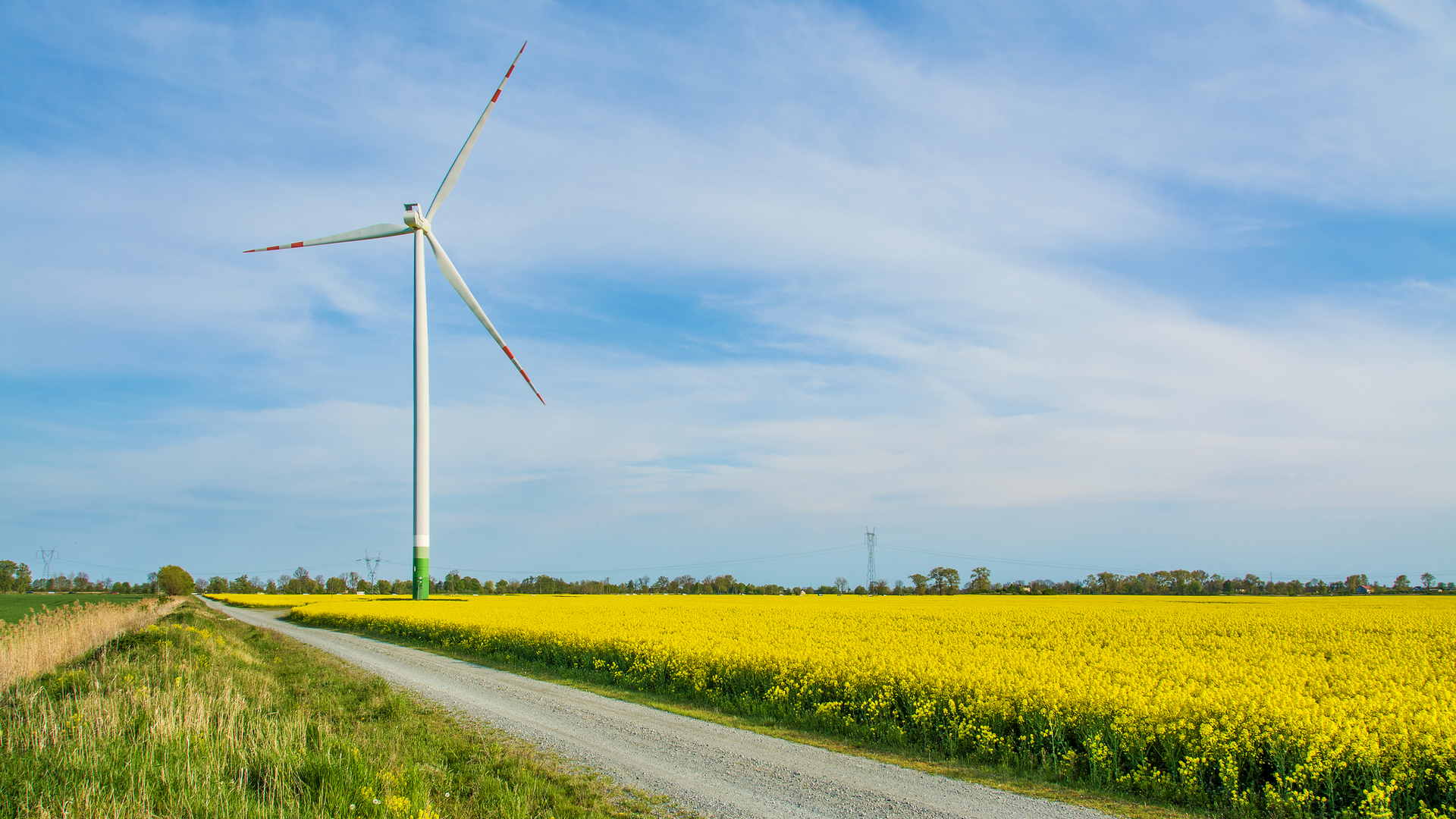 Dreamstime M 183820568 5f5bb2730833c