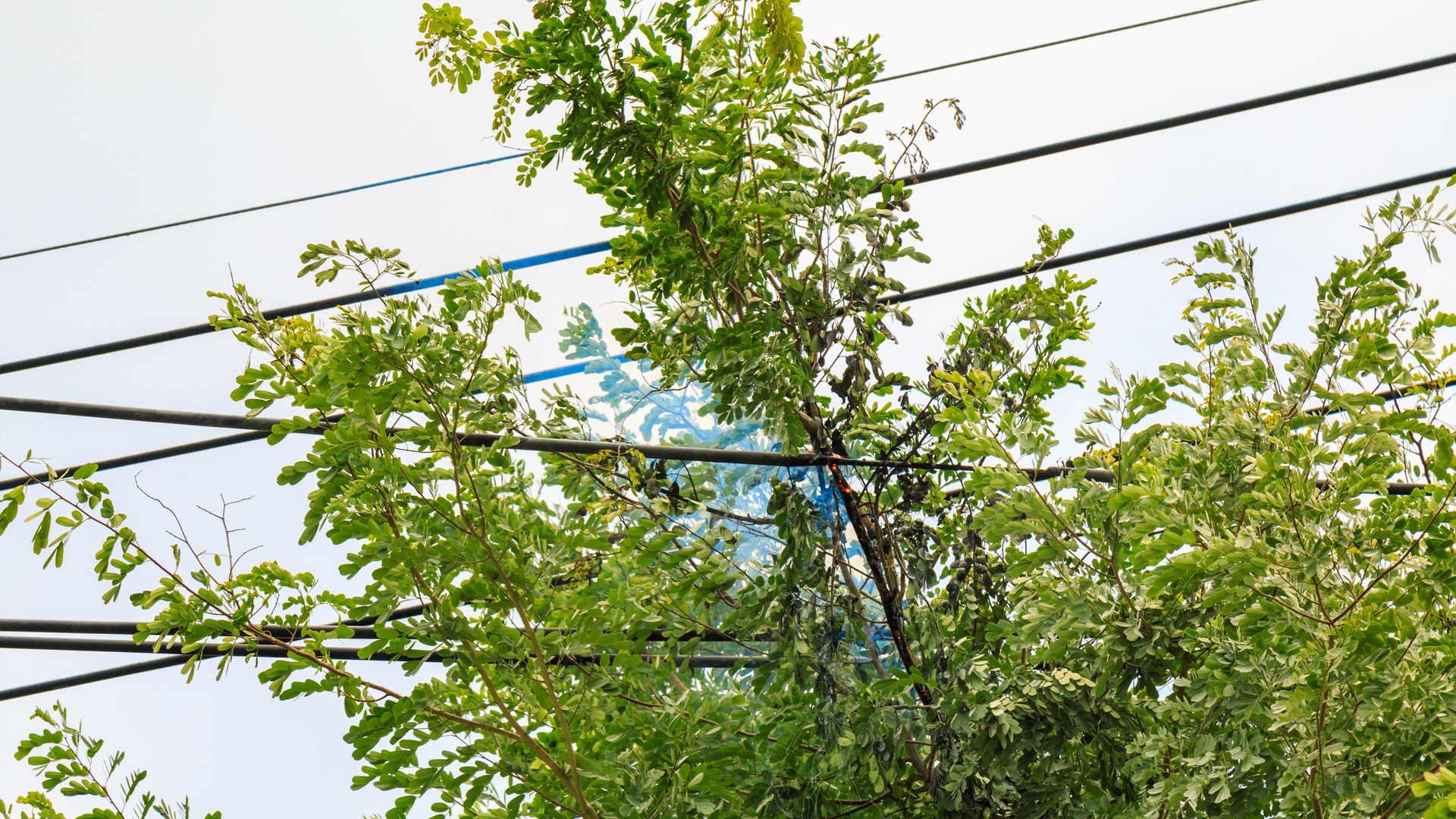 Featured Image 1 5f74686340baa