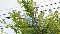 Featured Image 1 5f74686340baa Featured Image 1 5f74686340baa