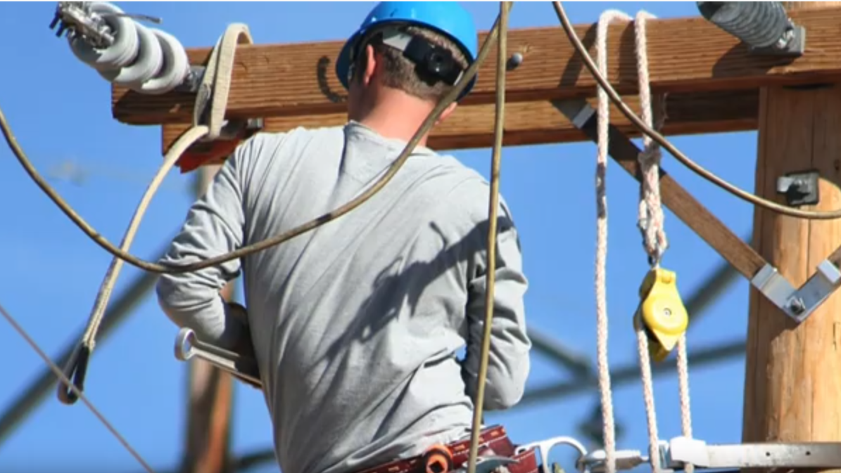 Lakeland Fr Vid Thumb