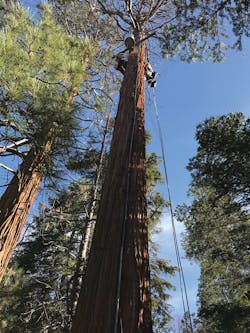 2009 Tdwls Image1 2009 Tdwls Image1