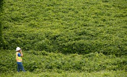 5 Leveraging Robotics Vegetation Management 5 Leveraging Robotics Vegetation Management