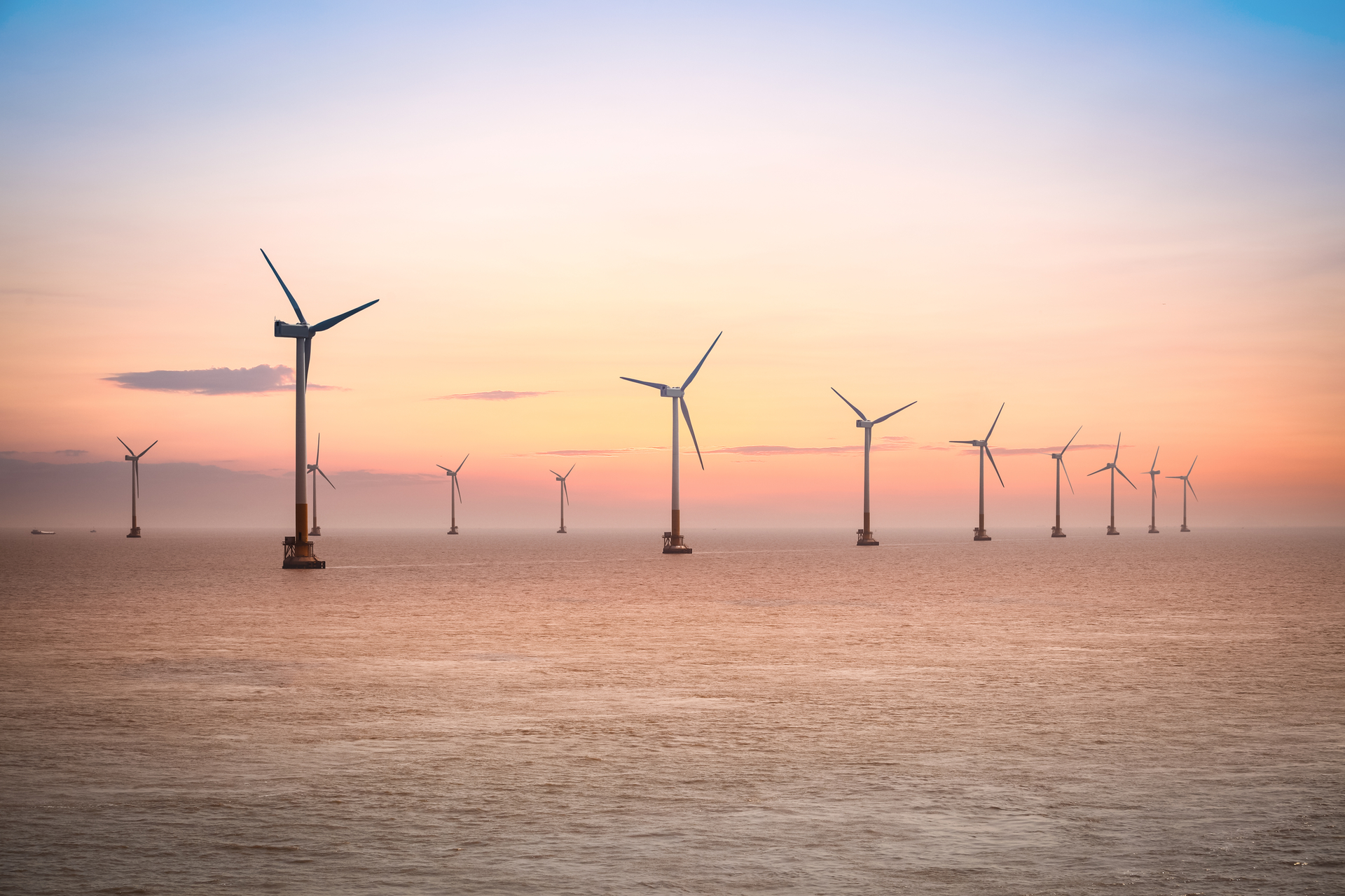 A wind farm in the east China Sea