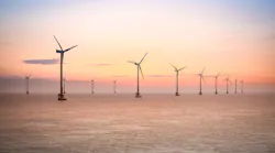 A wind farm in the east China Sea