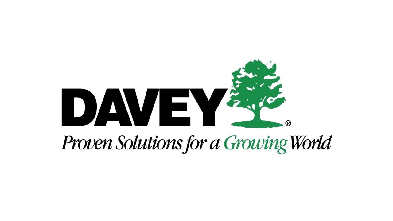 Davey Utility Solutions T&D World