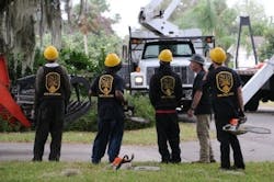 Sb Tree Service 5f5651c5be517 Sb Tree Service 5f5651c5be517